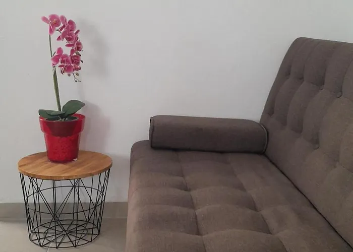 Aparthotel New Management